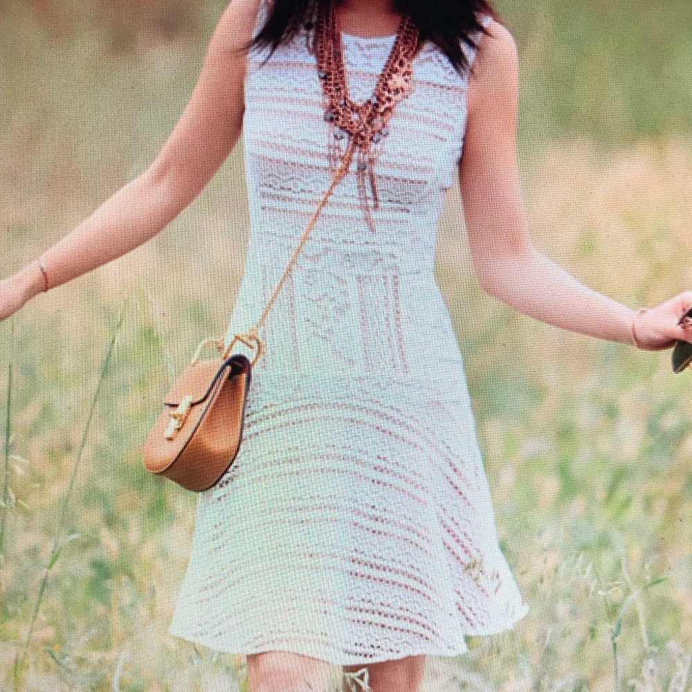 New BCBGMaxAzria Jalina Knit Lace Dress